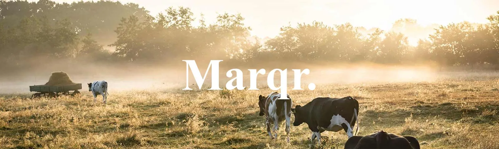 Comment pallier au manque de légitimité d’une jeune agence de branding à Caen ? Retour sur cette réalisation #Portfolio